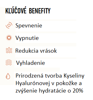 Hyaluronmaske SK